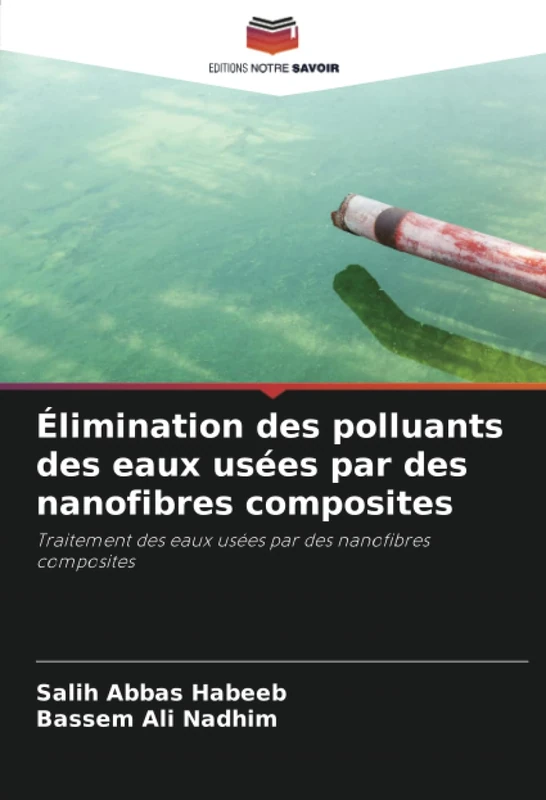 Élimination des polluants des eaux usées par des nanofibres composites: Traitement des eaux usées par des nanofibres composites