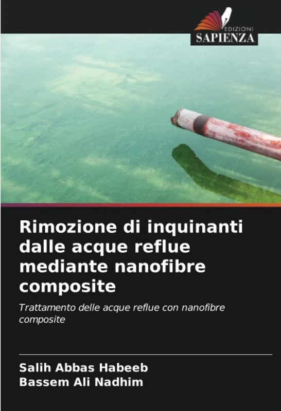 Rimozione di inquinanti dalle acque reflue mediante nanofibre composite: Trattamento delle acque reflue con nanofibre composite