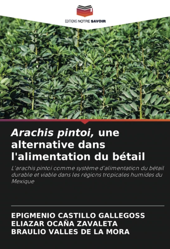 Arachis pintoi, une alternative dans l'alimentation du bétail: L'arachis pintoi comme système d'alimentation du bétail durable et viable dans les régions tropicales humides du Mexique