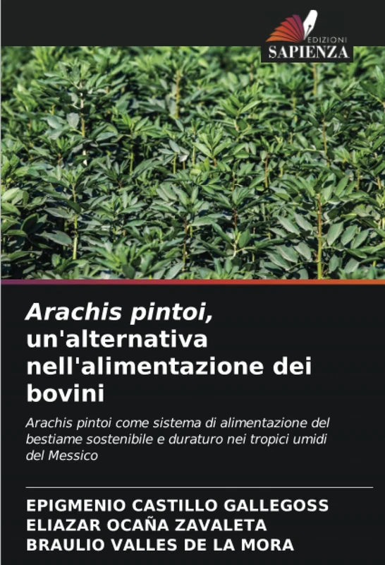 Arachis pintoi, un'alternativa nell'alimentazione dei bovini: Arachis pintoi come sistema di alimentazione del bestiame sostenibile e duraturo nei tropici umidi del Messico - Image 1