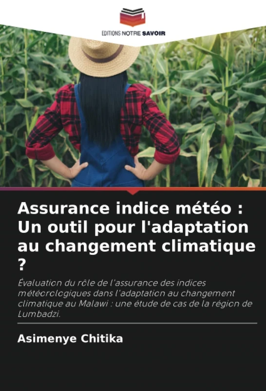 Assurance indice météo : Un outil pour l'adaptation au changement climatique ? - Image 1