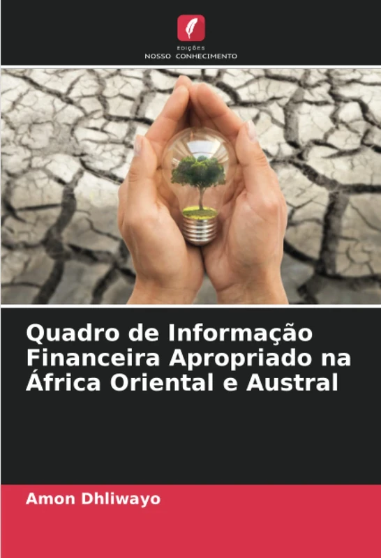 Quadro de Informação Financeira Apropriado na África Oriental e Austral