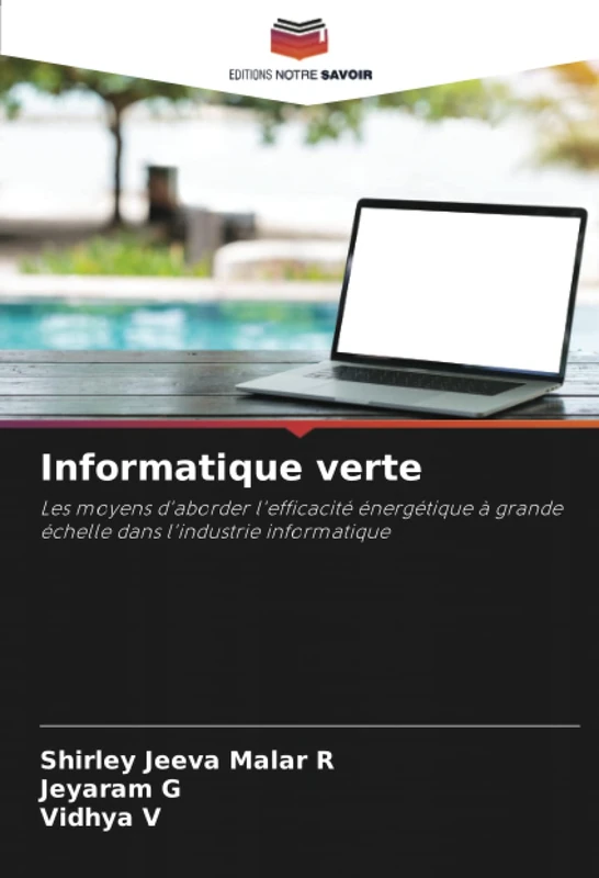 Informatique verte: Les moyens d'aborder l'efficacité énergétique à grande échelle dans l'industrie informatique