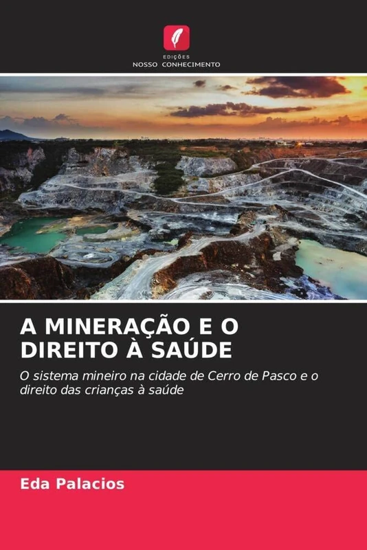 A Mineração E O Direito À Saúde: O sistema mineiro na cidade de Cerro de Pasco e o direito das crianças à saúde - Image 1