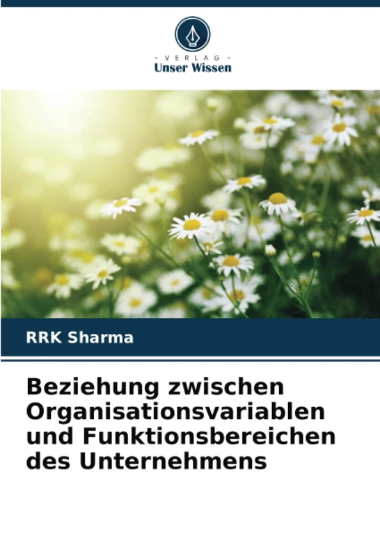 Beziehung zwischen Organisationsvariablen und Funktionsbereichen des Unternehmens