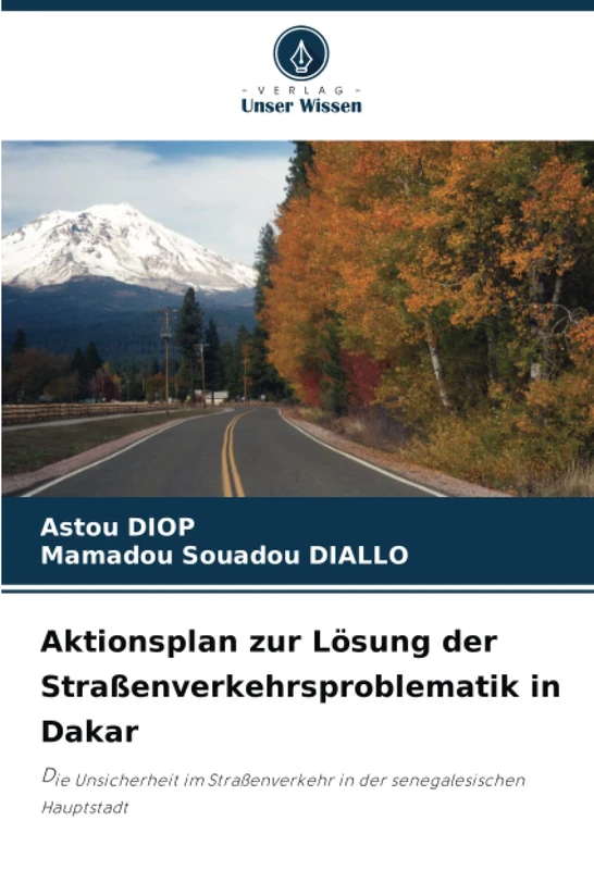 Aktionsplan zur Lösung der Straßenverkehrsproblematik in Dakar: Die Unsicherheit im Straßenverkehr in der senegalesischen Hauptstadt