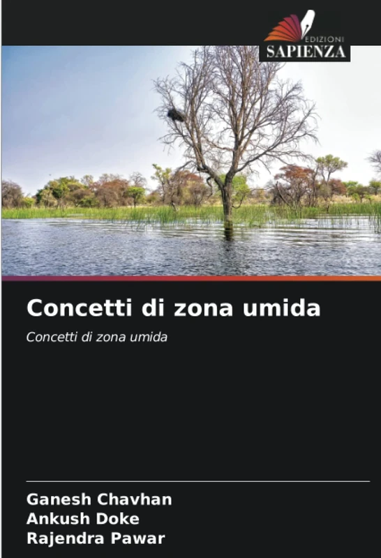 Concetti di zona umida: Concetti di zona umida