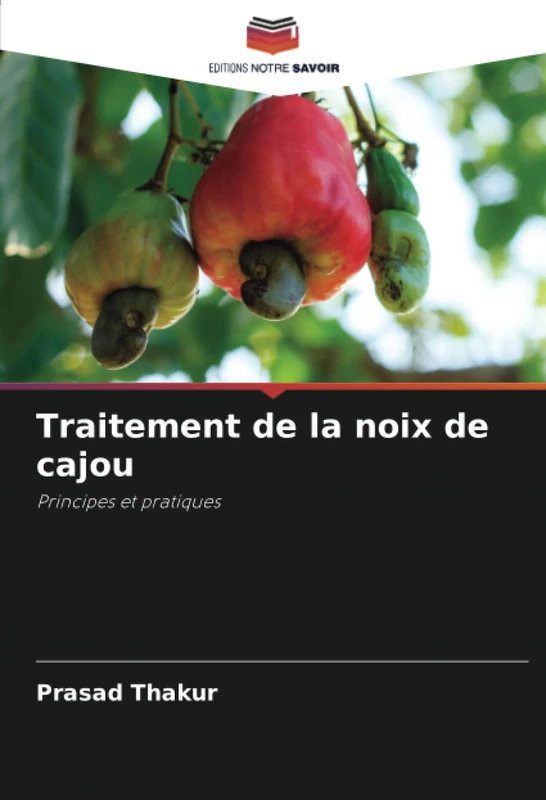 Traitement de la noix de cajou: Principes et pratiques - Image 1