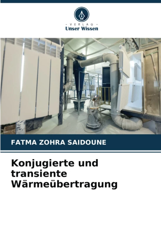Konjugierte und transiente Wärmeübertragung - Image 1