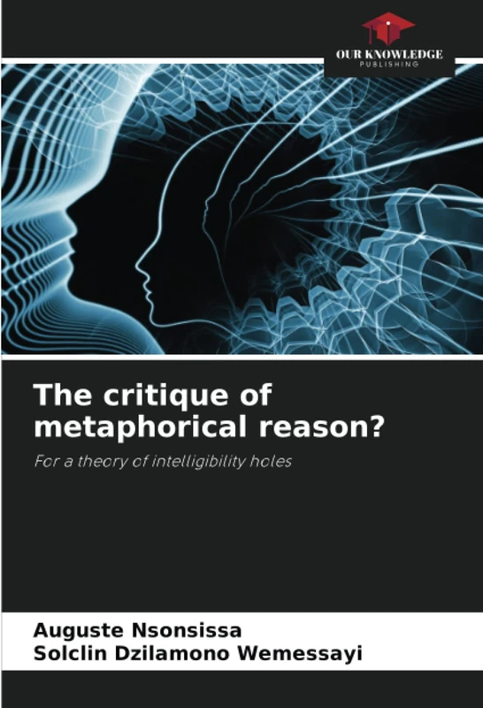 The critique of metaphorical reason?: For a theory of intelligibility holes