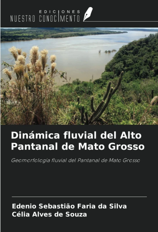 Dinámica fluvial del Alto Pantanal de Mato Grosso: Geomorfología fluvial del Pantanal de Mato Grosso
