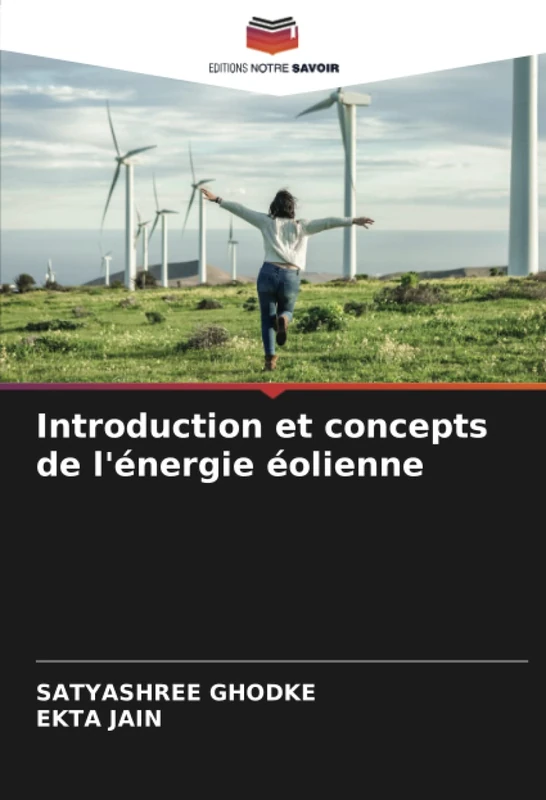 Introduction et concepts de l'énergie éolienne - Image 1