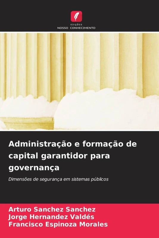 Administração e formação de capital garantidor para governança: Dimensões de segurança em sistemas públicos
