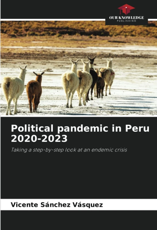 Political pandemic in Peru 2020-2023: Taking a step-by-step look at an endemic crisis - Image 1