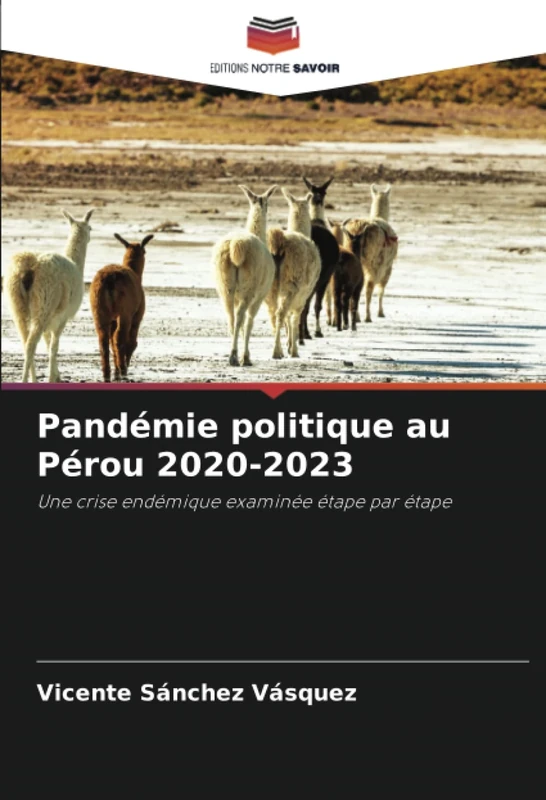 Pandémie politique au Pérou 2020-2023: Une crise endémique examinée étape par étape