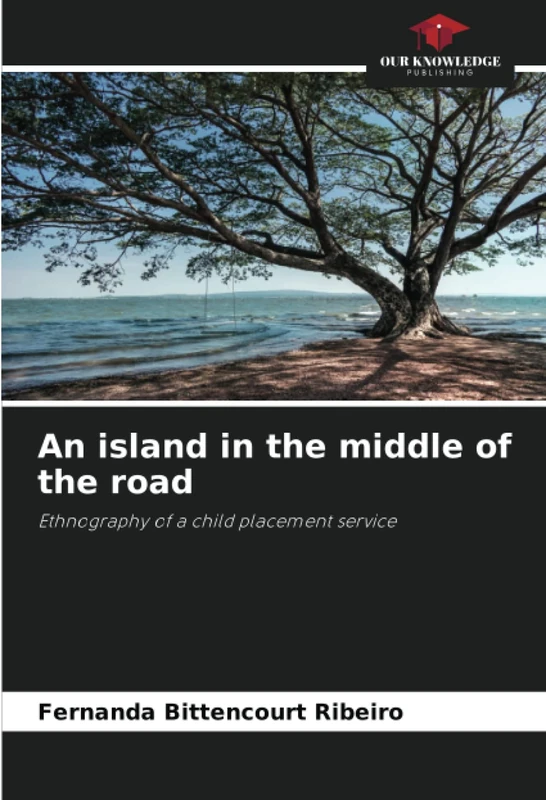 An island in the middle of the road: Ethnography of a child placement service