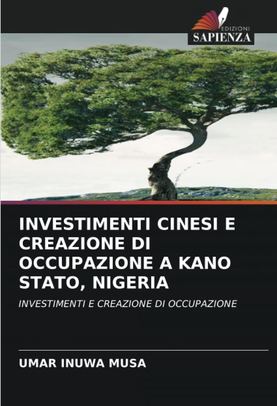 INVESTIMENTI CINESI E CREAZIONE DI OCCUPAZIONE A KANO STATO, NIGERIA: INVESTIMENTI E CREAZIONE DI OCCUPAZIONE