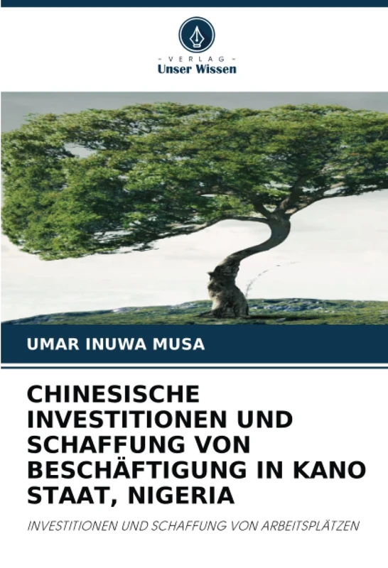 CHINESISCHE INVESTITIONEN UND SCHAFFUNG VON BESCHÄFTIGUNG IN KANO STAAT, NIGERIA: INVESTITIONEN UND SCHAFFUNG VON ARBEITSPLÄTZEN