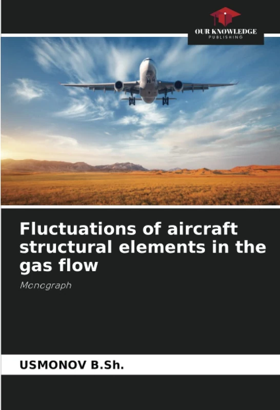 Fluctuations of aircraft structural elements in the gas flow: Monograph - Image 1