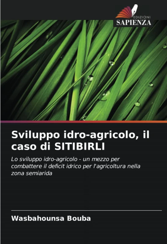 Sviluppo idro-agricolo, il caso di SITIBIRLI: Lo sviluppo idro-agricolo - un mezzo per combattere il deficit idrico per l'agricoltura nella zona semiarida - Image 1