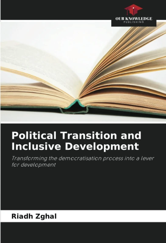 Political Transition and Inclusive Development: Transforming the democratisation process into a lever for development