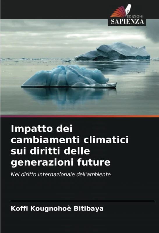Impatto dei cambiamenti climatici sui diritti delle generazioni future: Nel diritto internazionale dell'ambiente