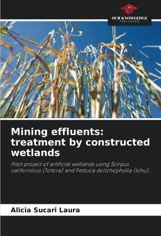 Mining effluents: treatment by constructed wetlands: Pilot project of artificial wetlands using Scirpus californicus (Totora) and Festuca dolichophylla (Ichu). - Image 1