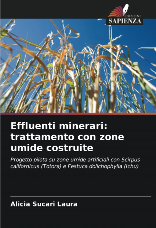 Effluenti minerari: trattamento con zone umide costruite: Progetto pilota su zone umide artificiali con Scirpus californicus (Totora) e Festuca dolichophylla (Ichu)