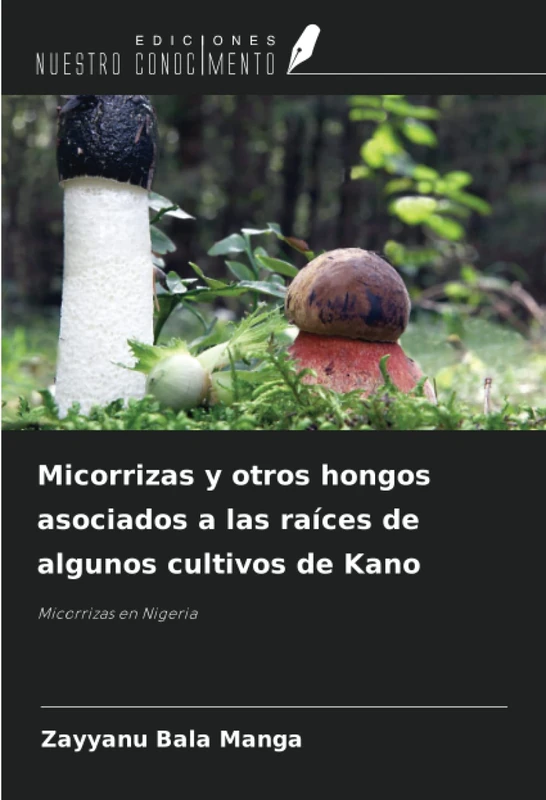 Micorrizas y otros hongos asociados a las raíces de algunos cultivos de Kano: Micorrizas en Nigeria - Image 1