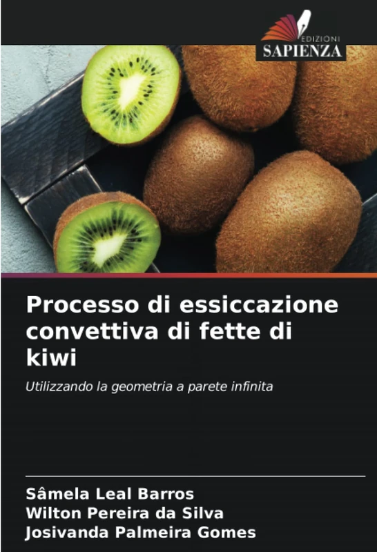 Processo di essiccazione convettiva di fette di kiwi: Utilizzando la geometria a parete infinita