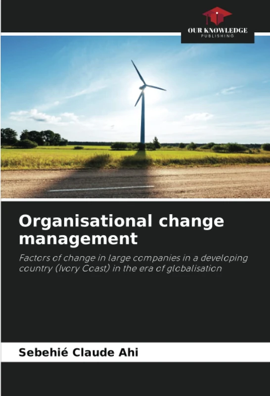 Organisational change management: Factors of change in large companies in a developing country (Ivory Coast) in the era of globalisation