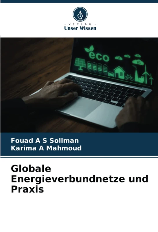 Globale Energieverbundnetze und Praxis