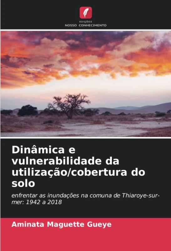 Dinâmica e vulnerabilidade da utilização/cobertura do solo: enfrentar as inundações na comuna de Thiaroye-sur-mer: 1942 a 2018