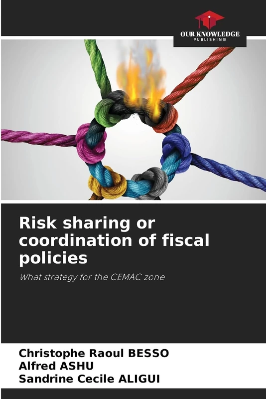 Risk sharing or coordination of fiscal policies: What strategy for the CEMAC zone - Image 1