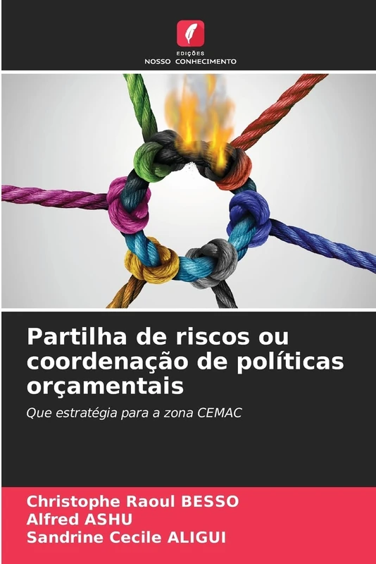 Partilha de riscos ou coordenação de políticas orçamentais: Que estratégia para a zona CEMAC