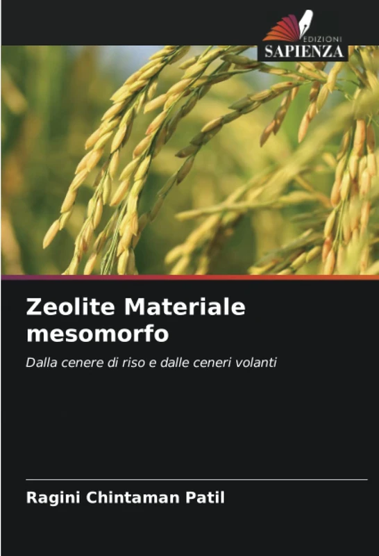 Zeolite Materiale mesomorfo: Dalla cenere di riso e dalle ceneri volanti