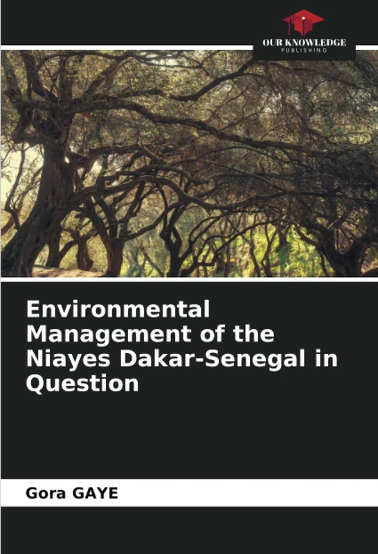 Environmental Management of the Niayes Dakar-Senegal in Question - Image 1