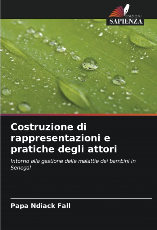 Costruzione di rappresentazioni e pratiche degli attori: Intorno alla gestione delle malattie dei bambini in Senegal - Image 1
