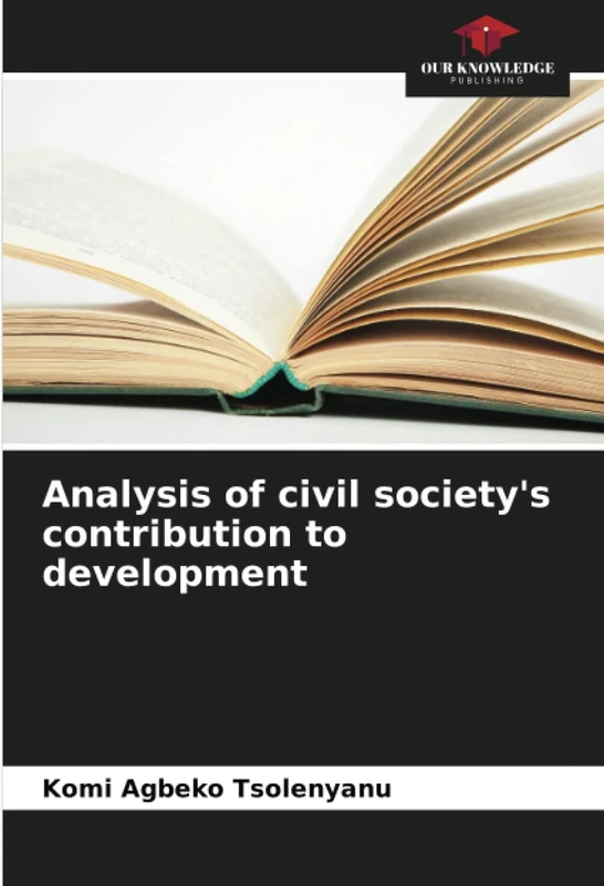 Analysis of civil society's contribution to development