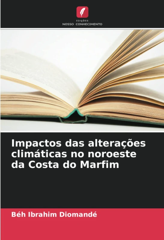 Impactos das alterações climáticas no noroeste da Costa do Marfim - Image 1