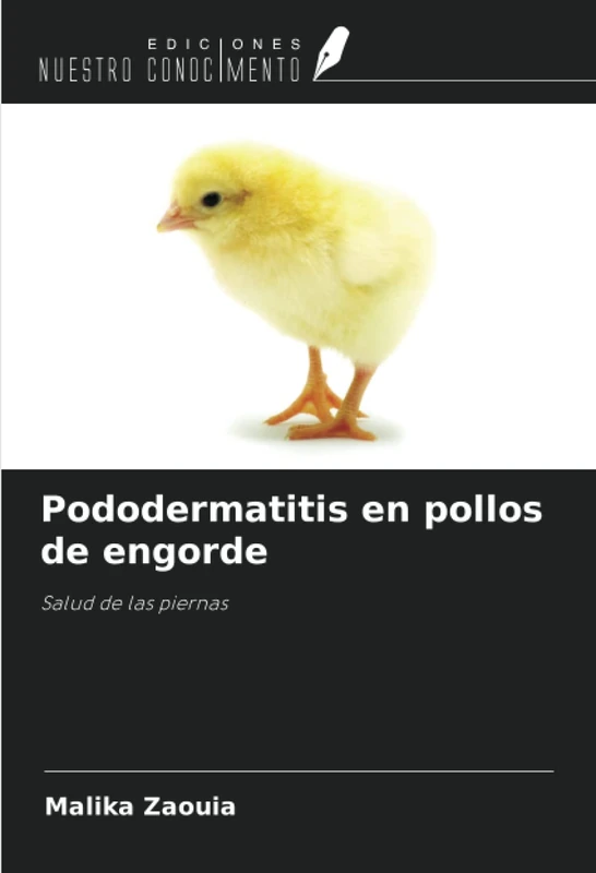 Pododermatitis en pollos de engorde: Salud de las piernas