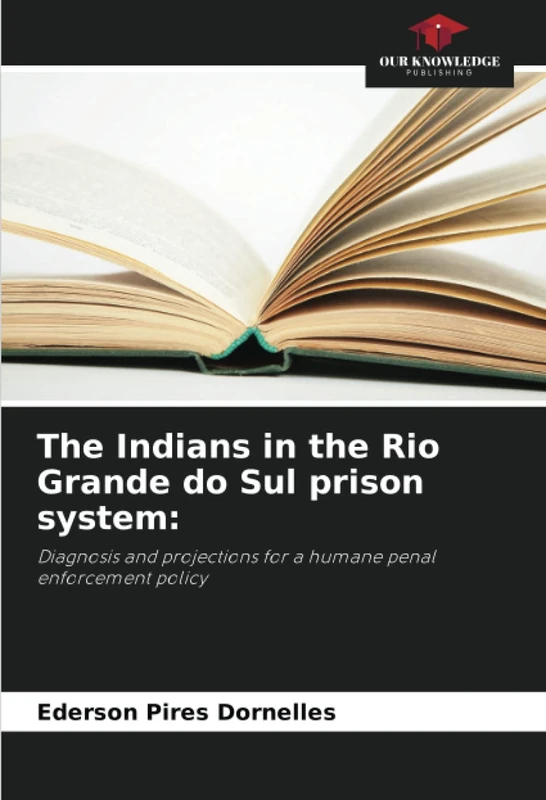 The Indians in the Rio Grande do Sul prison system:: Diagnosis and projections for a humane penal enforcement policy - Image 1