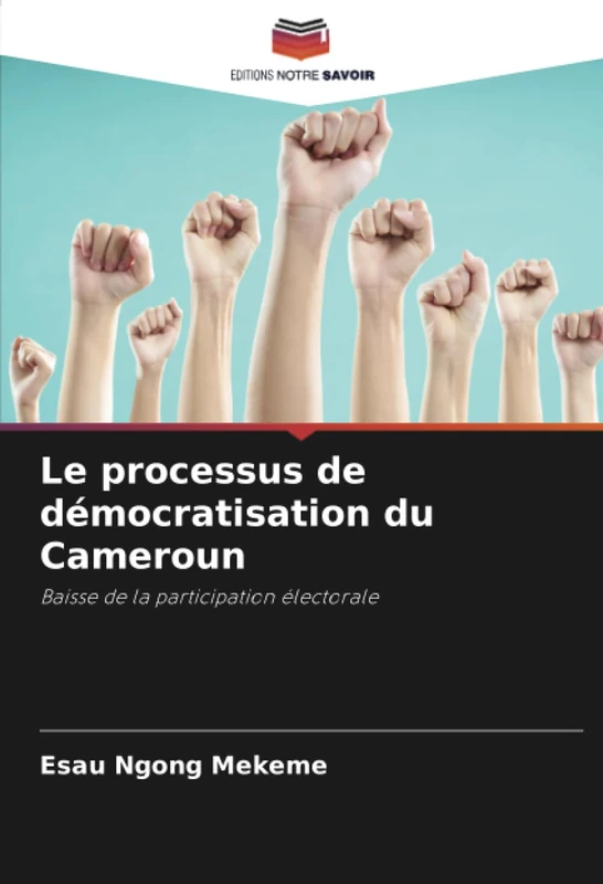 Le processus de démocratisation du Cameroun: Baisse de la participation électorale - Image 1