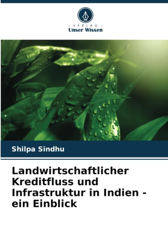 Landwirtschaftlicher Kreditfluss und Infrastruktur in Indien - ein Einblick