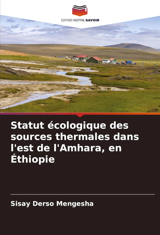 Statut écologique des sources thermales dans l'est de l'Amhara, en Éthiopie