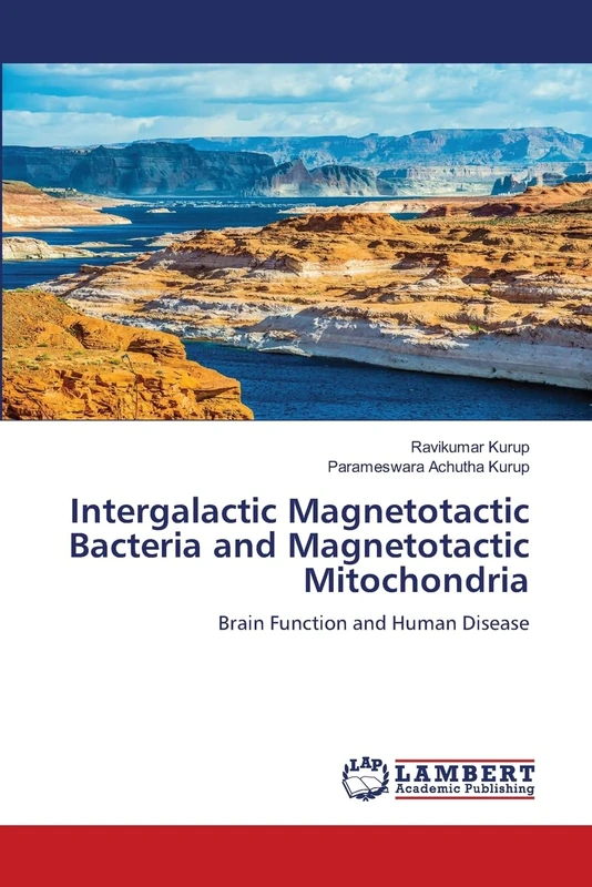 Intergalactic Magnetotactic Bacteria and Magnetotactic Mitochondria: Brain Function and Human Disease - Image 1