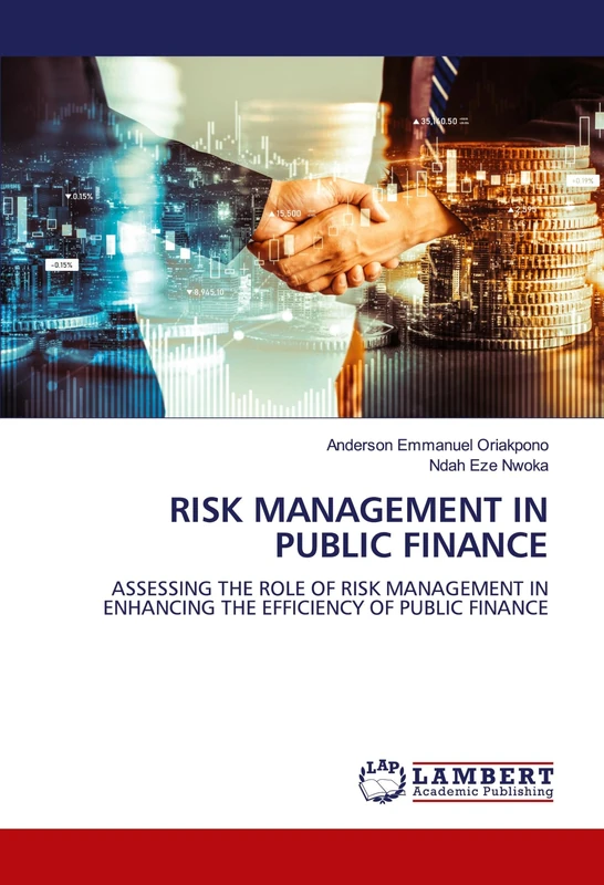 RISK MANAGEMENT IN PUBLIC FINANCE: ASSESSING THE ROLE OF RISK MANAGEMENT IN ENHANCING THE EFFICIENCY OF PUBLIC FINANCE