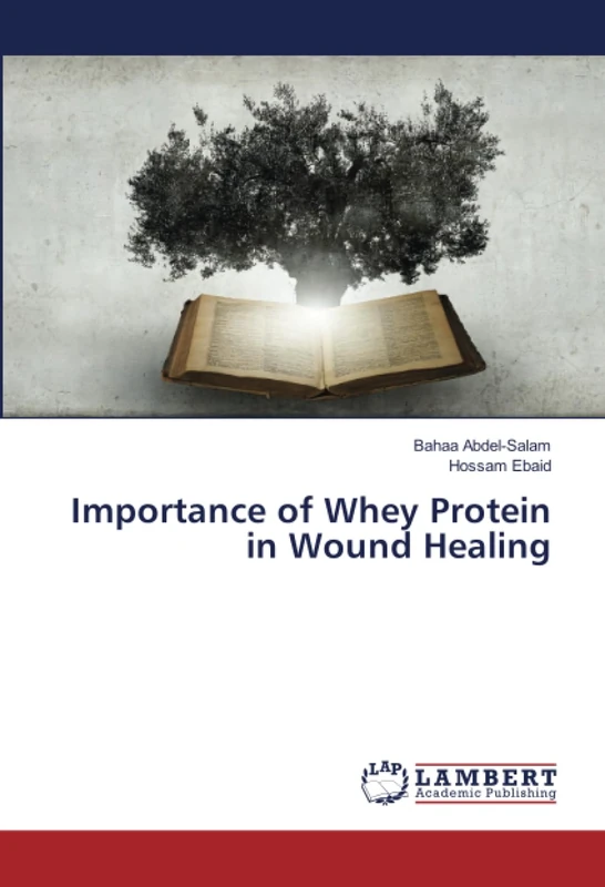 Importance of Whey Protein in Wound Healing - Image 1