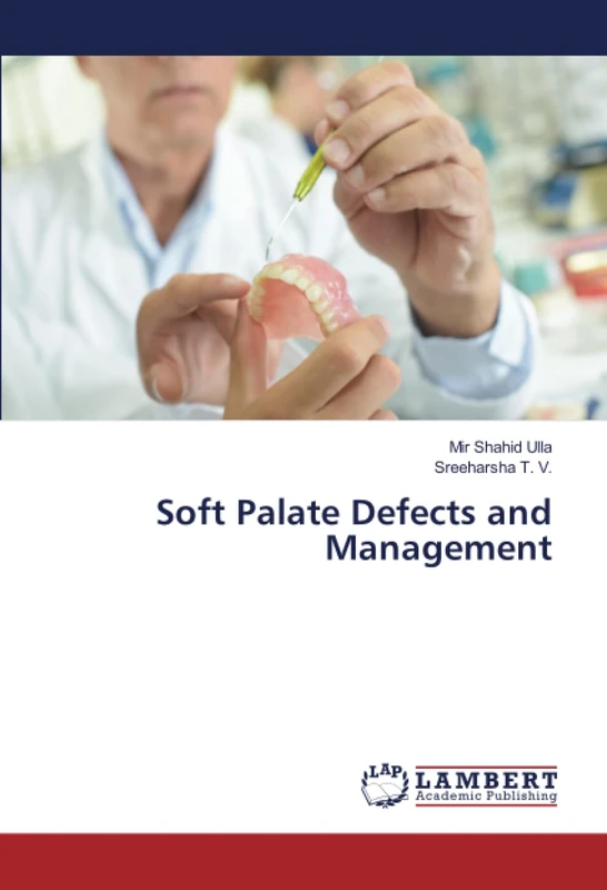 Soft Palate Defects and Management