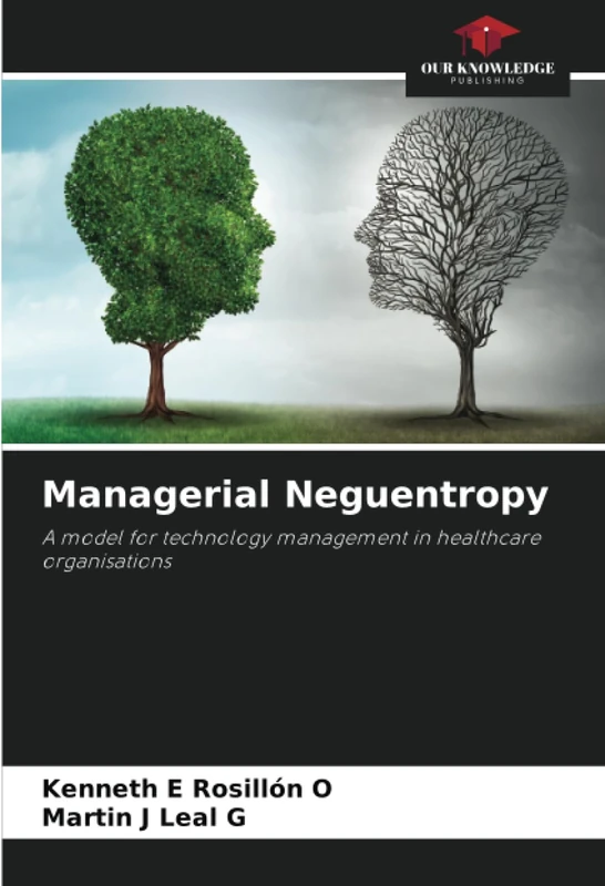 Managerial Neguentropy: A model for technology management in healthcare organisations - Image 1